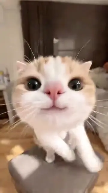 One more cute friend, found from space