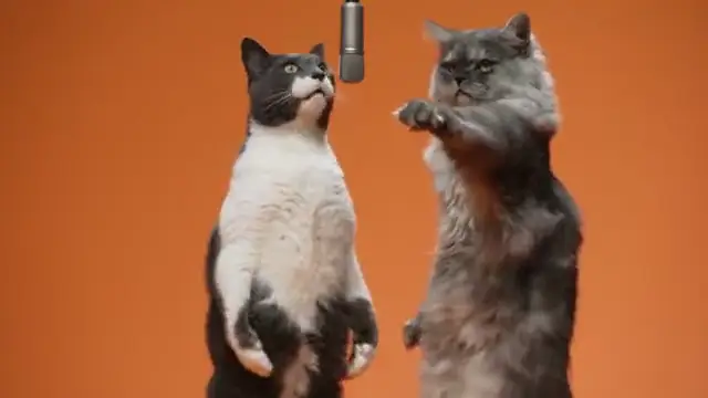 Cats singing "The Hotel Lobby"